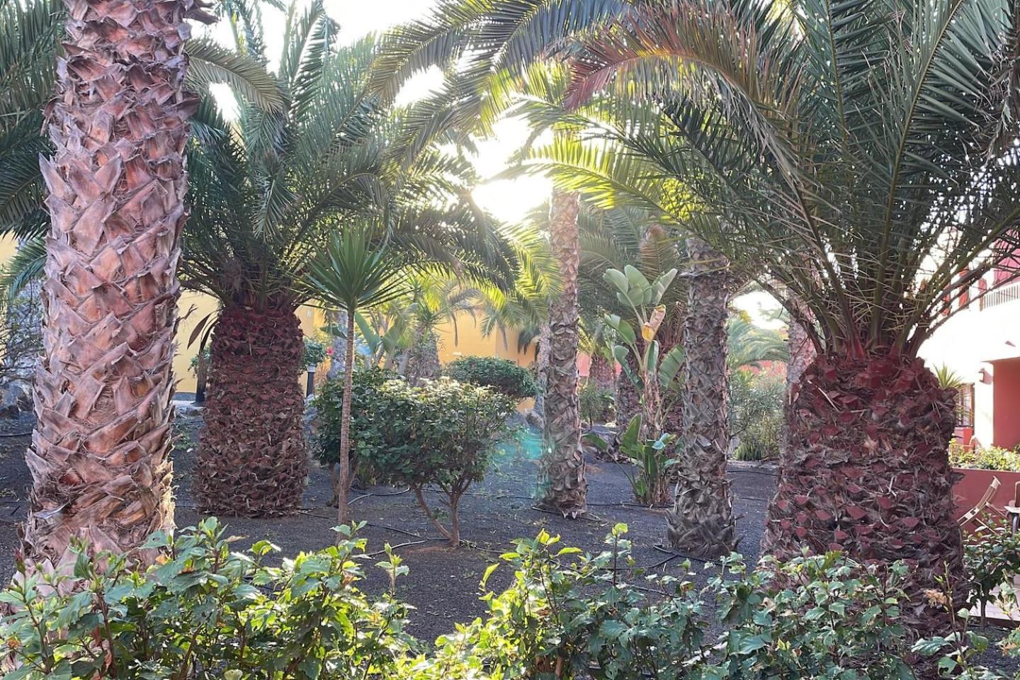 Apartamento Sun & Sea In